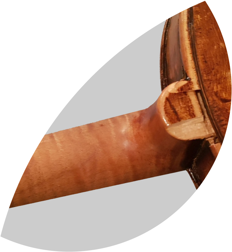 Halsreparatur Dallinger kaputter Geigenhals