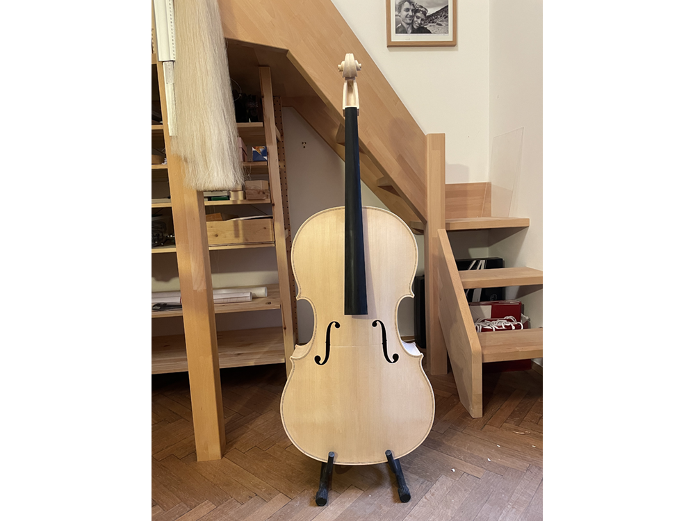 Gofriller Cello