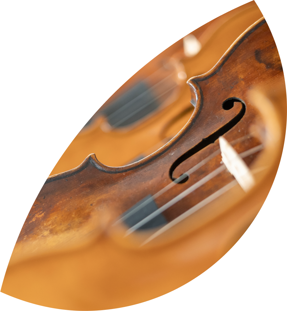 Geige restaurieren